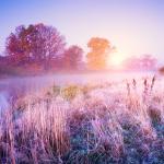 November month story